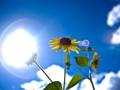 Αίθριος σήμερα ο καιρός